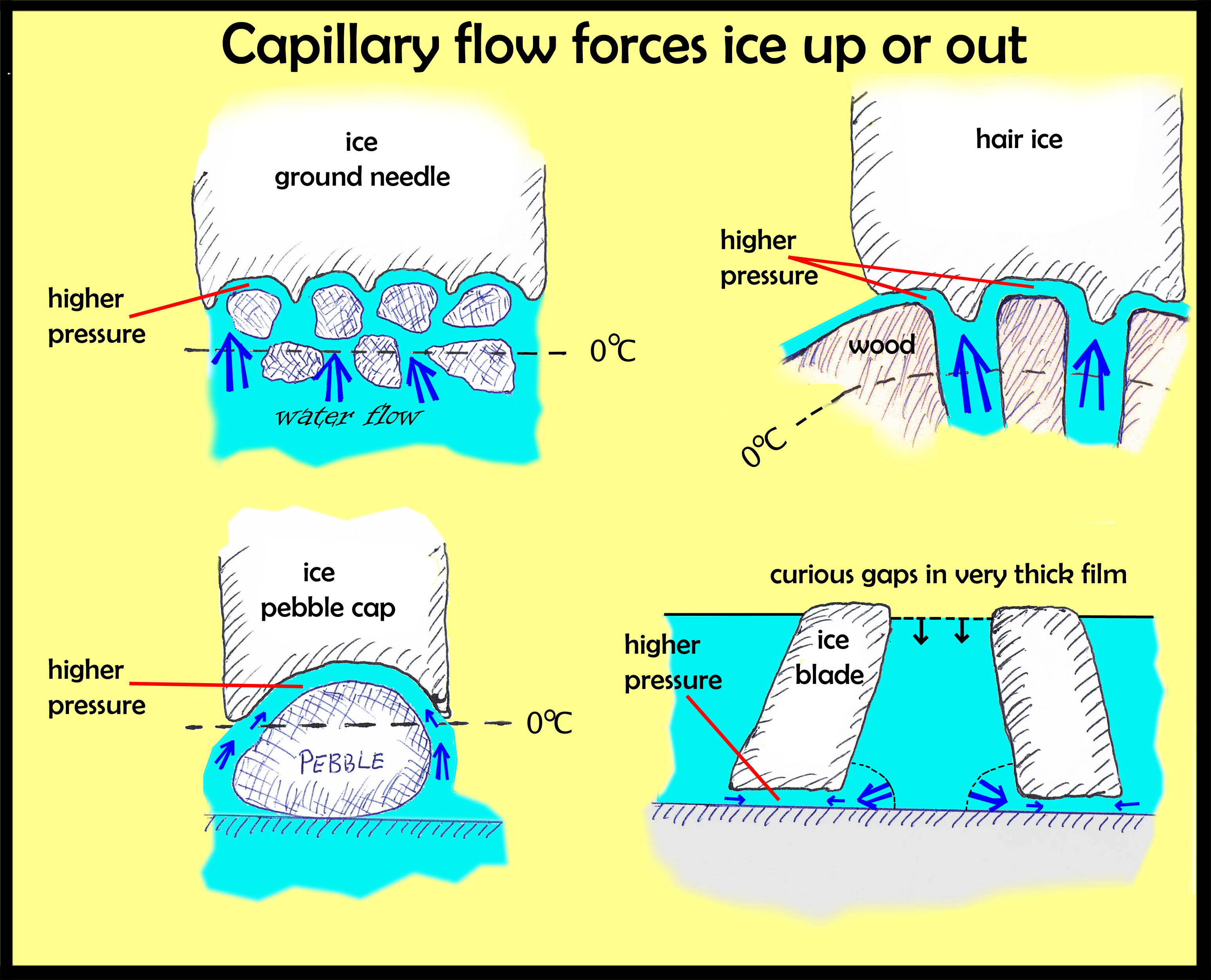 Capillarity: Surface Tension and Liquid Surface